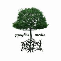 "Obtest" albumo "Gyvybės medis" viršelis. ["LeTa" nuotr.]