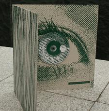 Naujojo konkurso prizas - singlas "Jūros gilumos akių mergaitė", pateikiamas specialiame vinilinės plokštelės dydžio įdėkle. ["DELFI" nuotr.]