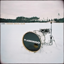 Naujojo "Flamingo" albumo viršelis. [Grupės iliustr.]