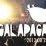 “Galapagai 2013” atskleidžia dar daugiau festivalio dalyvių: pagrindine didžiosios scenos žvaigžde taps 
