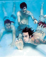 Ilgiausiai tope iš šią savaitę iškritusių kūrinių išsilaikė "Blink 182" daina "I Miss You" - net 38 savaites.
